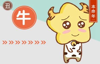 牛人2021的運(yùn)勢(shì)如何（牛人2021的運(yùn)勢(shì)如何看）