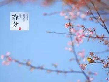 春分如何提升運(yùn)勢(shì)（春分如何提升運(yùn)勢(shì)和財(cái)運(yùn)）
