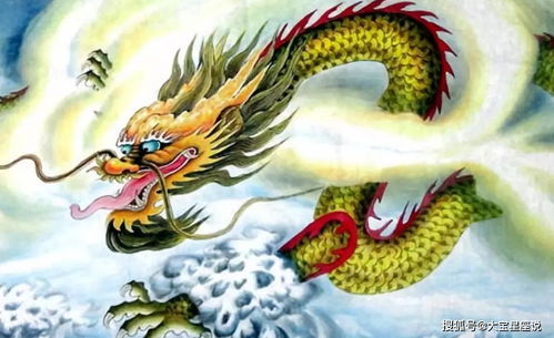 龍年遇蛇運(yùn)勢(shì)如何（生肖龍遇龍年）