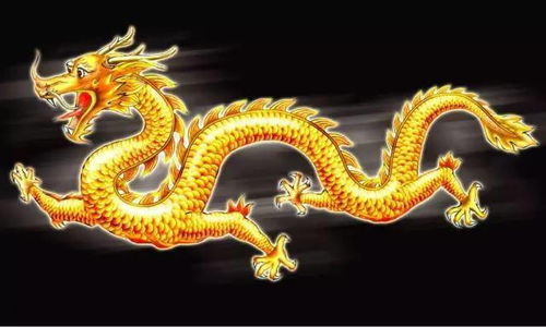 龍年遇蛇運(yùn)勢(shì)如何（生肖龍遇龍年）