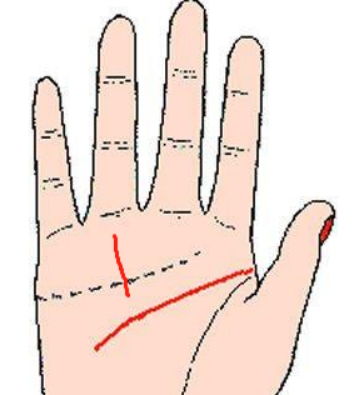 如何看手相的運(yùn)勢（請問手相怎么看）