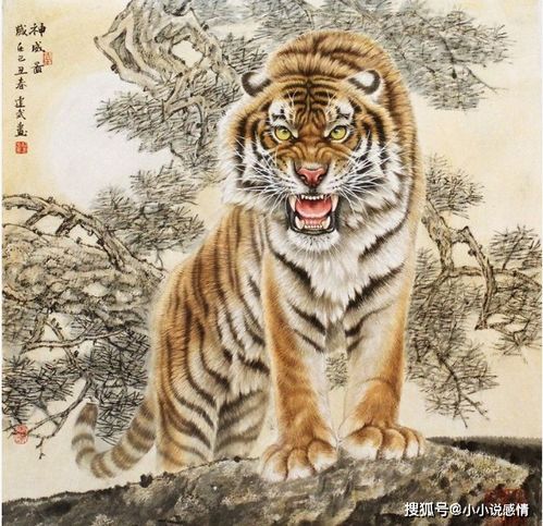 屬虎十月運(yùn)勢如何（生肖虎十月份運(yùn)勢如何）