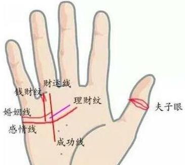 手紋運(yùn)勢(shì)如何（手紋怎么看運(yùn)勢(shì)）
