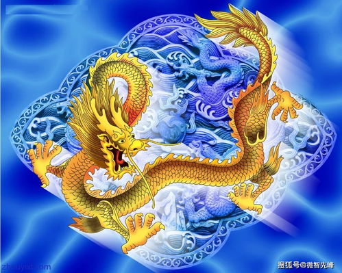 龍年的運(yùn)勢(shì)2025運(yùn)勢(shì)如何（龍人2025年運(yùn)程）
