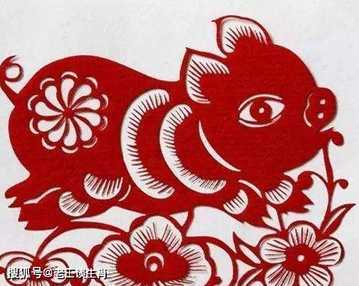 生肖豬2023運勢如何（2023屬豬全年運勢）