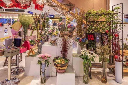 美發(fā)店做什么項目好賺錢,美發(fā)店賺錢的項目 美發(fā)店做什么項目好賺錢,美發(fā)店賺錢的項目