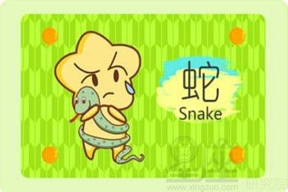 蛇運(yùn)勢(shì)后半年運(yùn)勢(shì)如何呢（蛇2021年上半年運(yùn)勢(shì)）