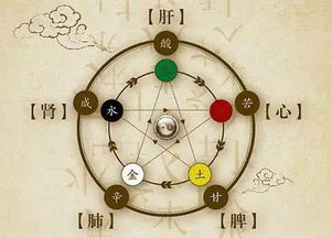 五行是金命秋季運(yùn)勢如何（秋季五行屬金如何養(yǎng)肺）