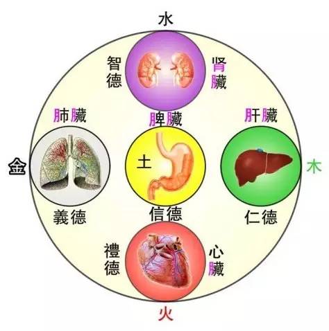 五行是金命秋季運(yùn)勢如何（秋季五行屬金如何養(yǎng)肺）