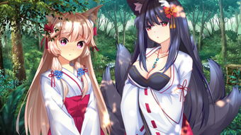 galgame游戲攻略怎么看,galgame攻略查詢