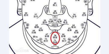 丑年出生運(yùn)勢(shì)如何（丑年生人圖例）