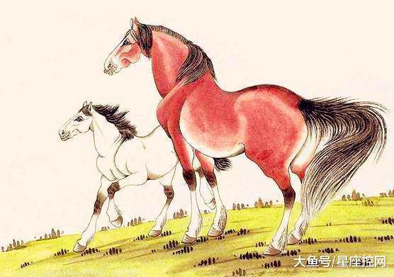 生肖馬的運勢如何（生肖馬的運勢怎么樣）