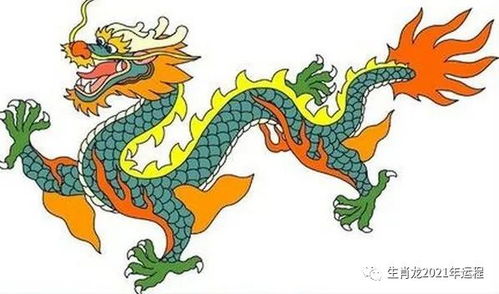 屬龍端午運(yùn)勢(shì)如何（屬龍運(yùn)勢(shì)揭秘）