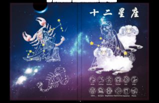 星座獅子雙魚運勢如何（獅子座雙魚座配不配）