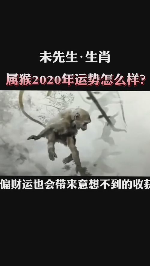 猴17運(yùn)勢(shì)如何（猴人運(yùn)程2020）