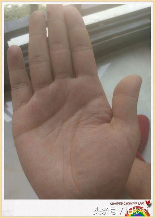 手短的人運勢如何（手短的人好不好）