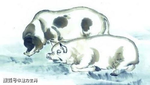 豬遇龍運(yùn)勢(shì)如何（屬豬的遇龍年好不好）