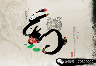 今年年末運(yùn)勢(shì)如何（今年年末運(yùn)勢(shì)如何看）