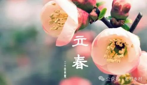 己酉立春之后運勢如何（己酉立春之后運勢如何呢）
