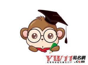 猴運(yùn)勢(shì)2017年運(yùn)勢(shì)如何（2020猴全年運(yùn)勢(shì)）