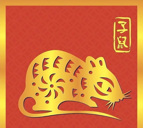 今天寅虎運(yùn)勢(shì)如何（虎今日運(yùn)程）