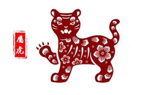 今天寅虎運(yùn)勢(shì)如何（虎今日運(yùn)程）