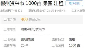 城市小生意賺錢項(xiàng)目是什么,城市小生意賺錢項(xiàng)目是什么意思