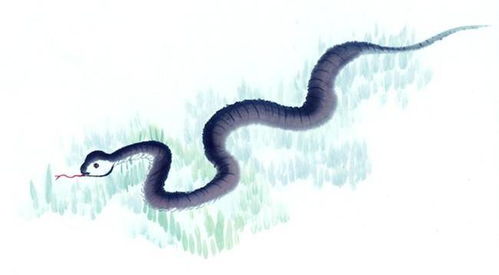 蛇今年婚姻運(yùn)勢(shì)如何（蛇今年婚姻運(yùn)勢(shì)如何呢）