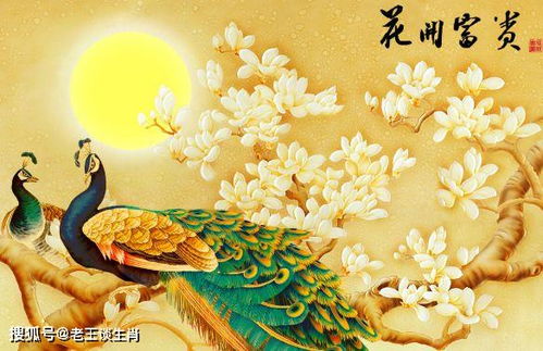 辰時(shí)運(yùn)勢(shì)如何（辰時(shí)財(cái)運(yùn)）