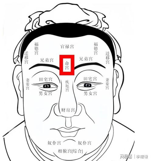 如何改變面相運勢（如何改變自己的面相命運）