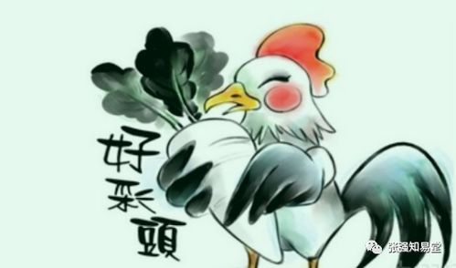 屬雞運(yùn)勢如何2022（屬雞人運(yùn)勢2022）