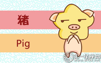 95屬豬如何增加運(yùn)勢(shì)（95屬豬如何增加運(yùn)勢(shì)和財(cái)運(yùn)）