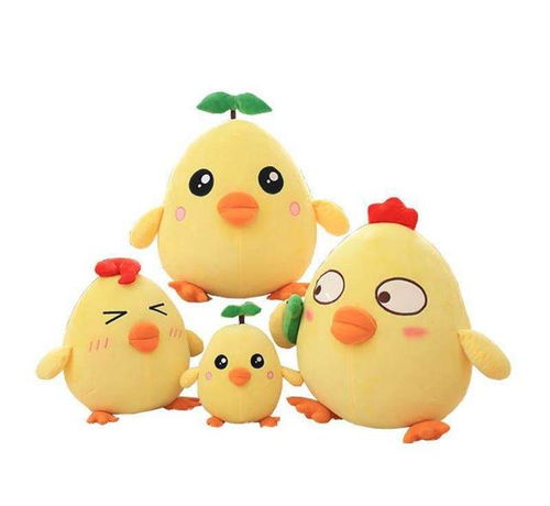 屬雞養(yǎng)貓運(yùn)勢如何呢（生肖屬雞人養(yǎng)貓合適嗎）