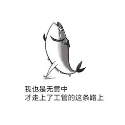 什么星座不能當(dāng)咸魚,什么星座不可以當(dāng)明星