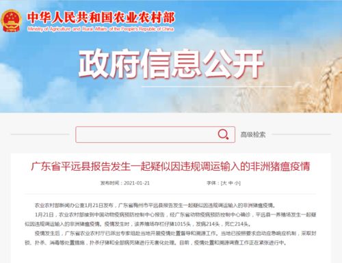 21年農(nóng)業(yè)運(yùn)勢(shì)如何（2021年的農(nóng)業(yè)）