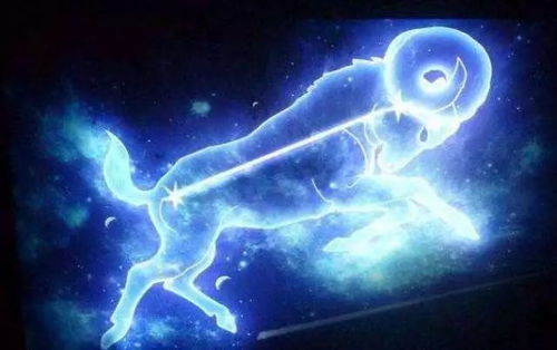 摩羯座跟什么星座視頻,摩羯座和什么星座最配的短視頻