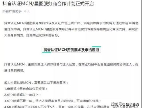 快手適合做什么項目賺錢,快手適合做什么項目賺錢的