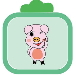 屬豬明年財(cái)運(yùn)運(yùn)勢(shì)如何（屬豬人明年財(cái)運(yùn)）