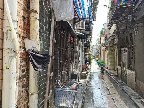 老城區(qū)做什么項(xiàng)目賺錢多,老城區(qū)做什么項(xiàng)目賺錢多呢