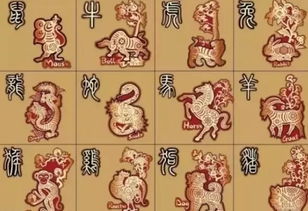 十五年生肖運(yùn)勢(shì)如何（十五生人一生運(yùn)勢(shì)）