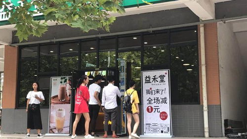 吸粉賺錢項目是什么意思,吸粉賺錢項目是什么意思啊