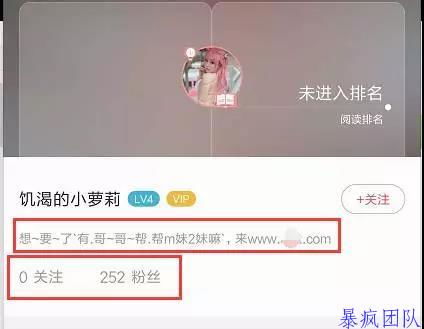 吸粉賺錢項目是什么意思,吸粉賺錢項目是什么意思啊
