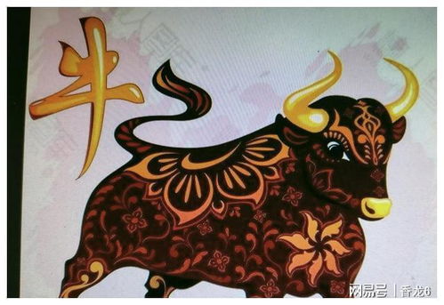 木旺的人運(yùn)勢(shì)如何（木旺的人財(cái)運(yùn)）