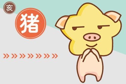豬今年每月運(yùn)勢(shì)如何（屬豬今年每個(gè)月的財(cái)運(yùn)）