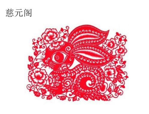 兔子龍年每月運(yùn)勢(shì)如何（龍年的兔子一生運(yùn)勢(shì)）