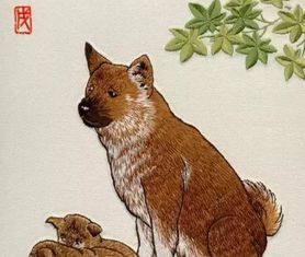 屬狗陽(yáng)歷八月運(yùn)勢(shì)如何（生肖狗八月運(yùn)勢(shì)如何）