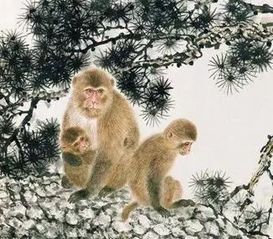 7月份屬猴的運(yùn)勢(shì)如何（七月屬猴運(yùn)勢(shì)）
