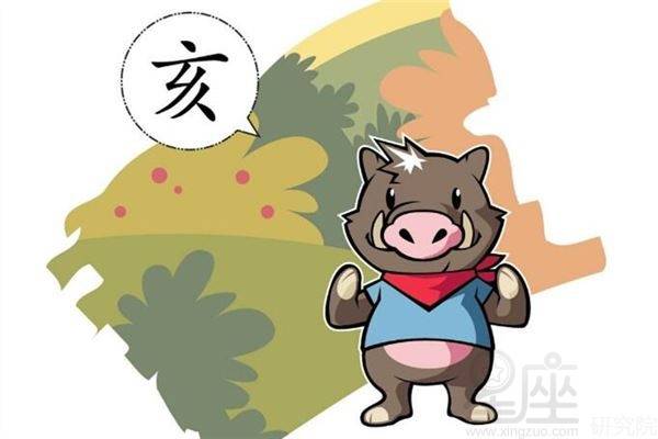 豬人未來五年運勢如何看（豬人未來三年運勢）