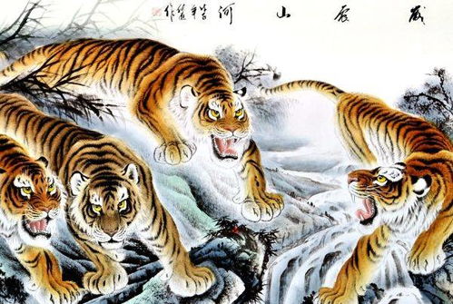 如何改變運勢屬虎（屬虎運氣差怎么轉(zhuǎn)運）