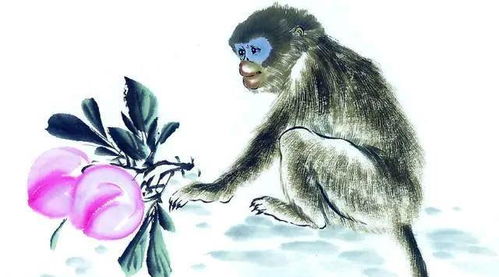 屬猴人進(jìn)入虎年運勢如何（屬猴人進(jìn)入虎年運勢如何呢）